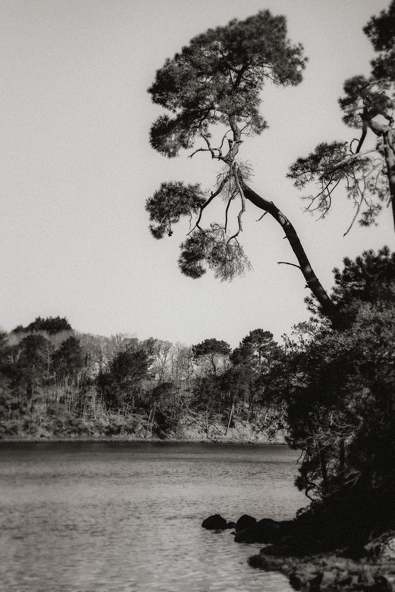 Elopement au Domaine de Locguénolé - 27